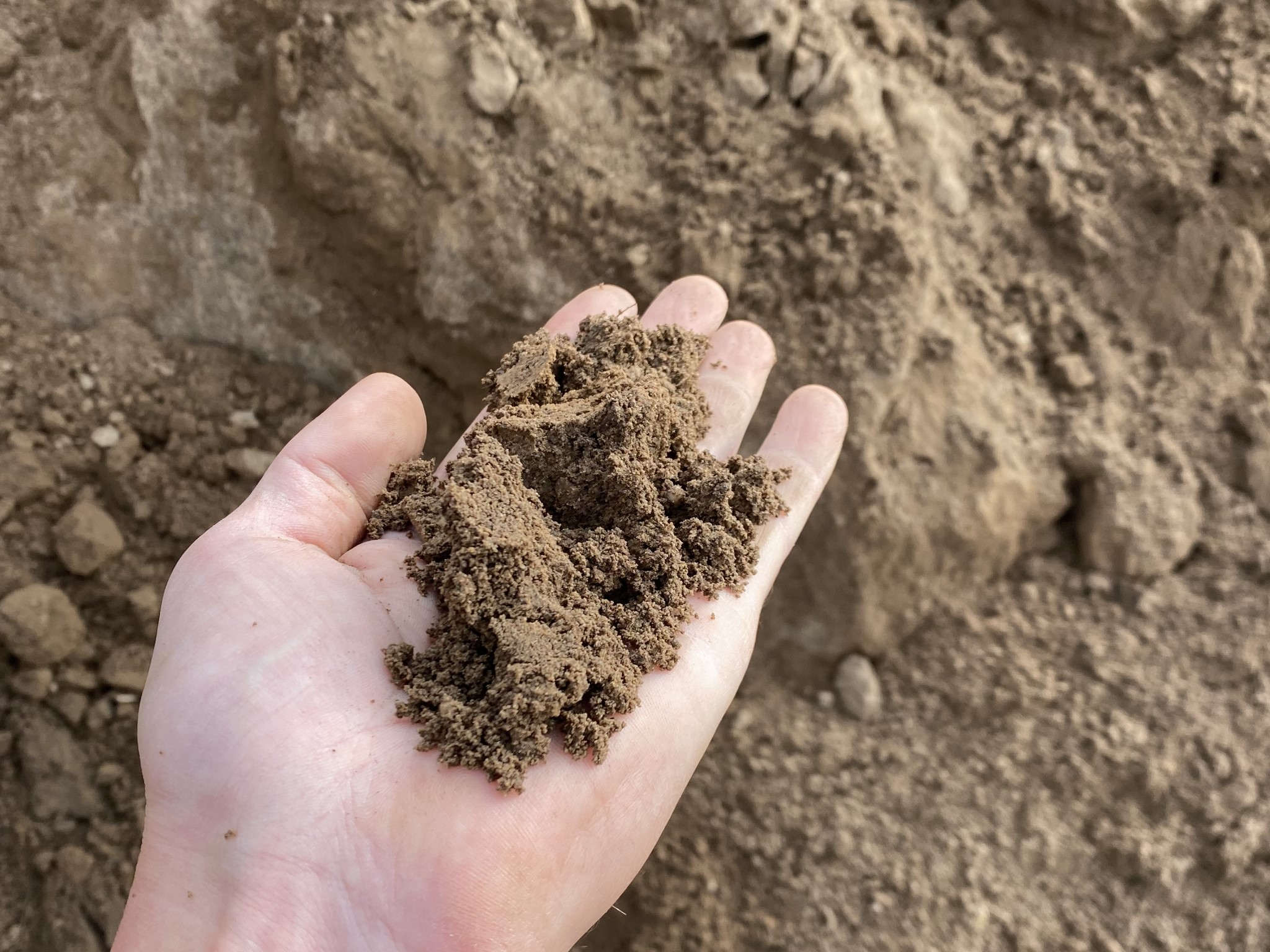 Sandiger Oberboden eignet sich hervorragen für den Gartenbau. © Haaf Firmengruppe